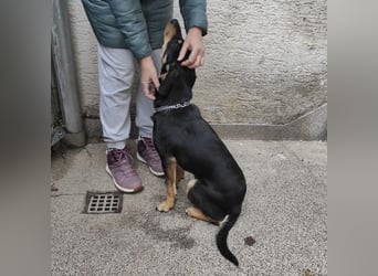 Liam ein absoluter Schatz