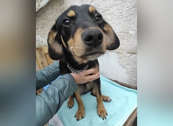 Liam ein absoluter Schatz