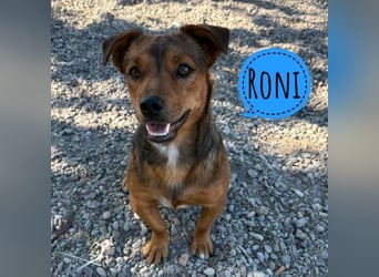 Roni ein absoluter Sonnenschein