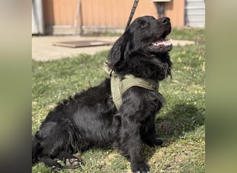 Mile ein besonderer Schatz