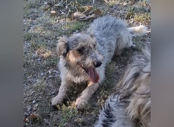 Chilly ein winziger Schatz