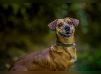 Woody - ein riesen Kuschel Fan