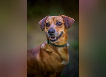 Woody - ein riesen Kuschel Fan
