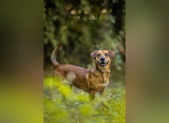 Woody - ein riesen Kuschel Fan