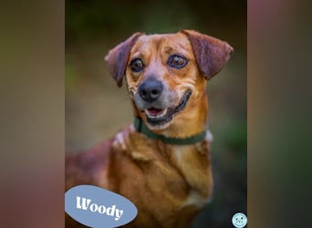 Woody - ein riesen Kuschel Fan