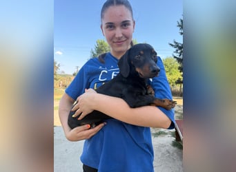 Nyafi wartet auf sein Glück