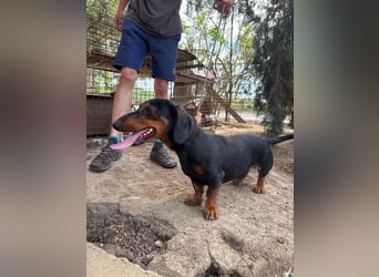 Hans hat so viel Liebe zu geben