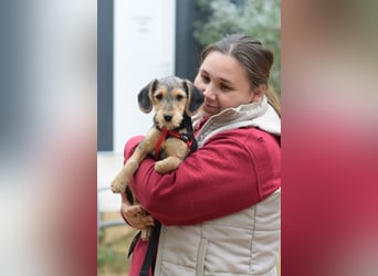 Rita - mit ihrem liebevollem Wesen erobert sie alle Herzen im Sturm
