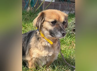 Lipi - liebe Minimaus