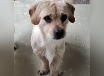 STICKY SUCHT LIEBEVOLLES ZUHAUSE