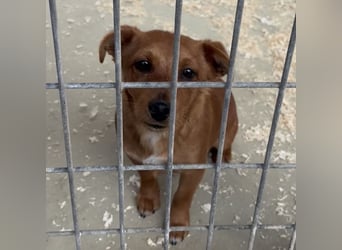 BENSO HATTE EIN ZUHAUSE