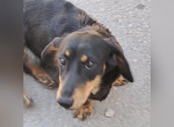 Lili sucht ihr Glück
