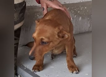 BENSO HATTE EIN ZUHAUSE