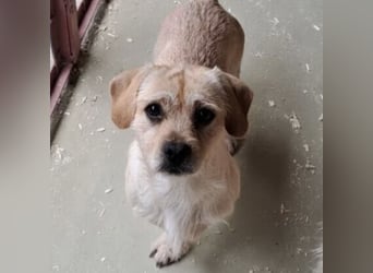 STICKY SUCHT LIEBEVOLLES ZUHAUSE