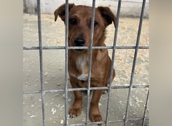 BENSO HATTE EIN ZUHAUSE