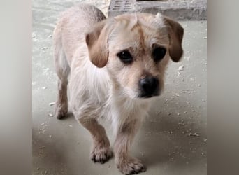 STICKY SUCHT LIEBEVOLLES ZUHAUSE