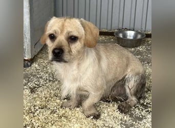 STICKY SUCHT LIEBEVOLLES ZUHAUSE