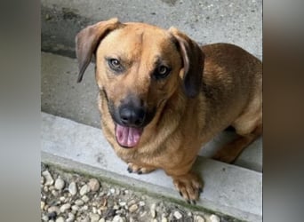 Kali wurde wieder abgegeben