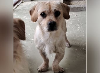 STICKY SUCHT LIEBEVOLLES ZUHAUSE