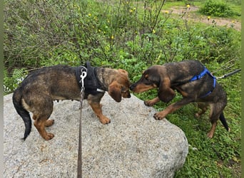 Monica: Mama mit Herz