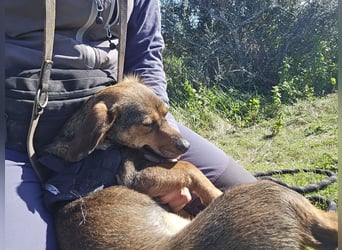 Monica: Mama mit Herz