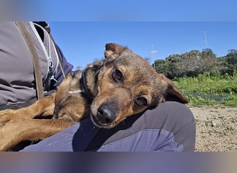 Monica: Mama mit Herz