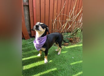 Wilma SR - lieb, aufgeschlossen