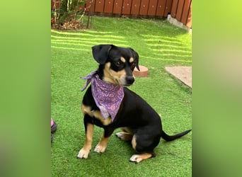 Wilma SR - lieb, aufgeschlossen