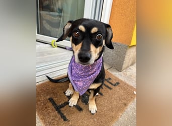 Wilma SR - lieb, aufgeschlossen