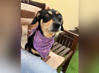 Wilma SR - lieb, aufgeschlossen