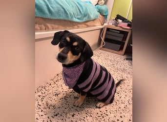 Wilma SR - lieb, aufgeschlossen