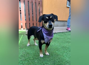 Wilma SR - lieb, aufgeschlossen