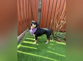 Wilma SR - lieb, aufgeschlossen