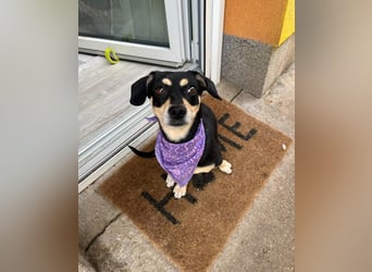 Wilma SR - lieb, aufgeschlossen