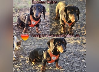 Ännchen ist ein Energiebündel und immer fröhlich