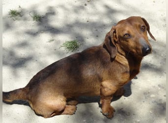 Miguel Menschenfreund