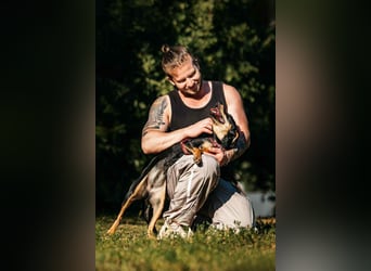Neugierige Fabia sucht ihre Menschen