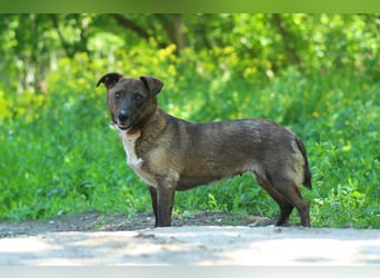 Zita - Einfach zauberhaft (Ukraine)