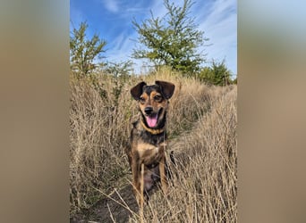 Charly sucht Menschen mit Herz