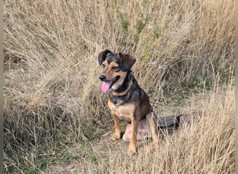 Charly sucht Menschen mit Herz Charly sucht Menschen mit Herz