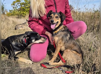 Charly sucht Menschen mit Herz