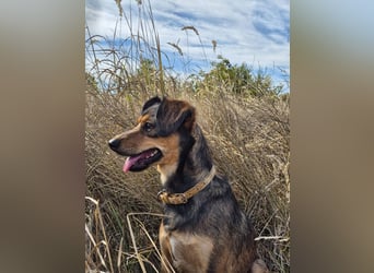 Charly sucht Menschen mit Herz Charly sucht Menschen mit Herz
