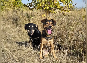 Charly sucht Menschen mit Herz