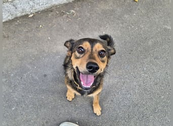 Charly sucht Menschen mit Herz