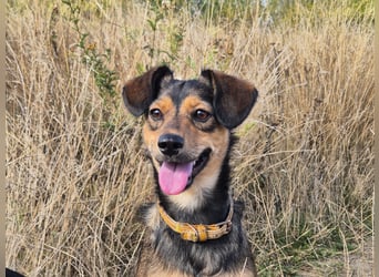 Charly sucht Menschen mit Herz