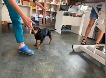 Flatley möchte mit dir um die Wette flitzen