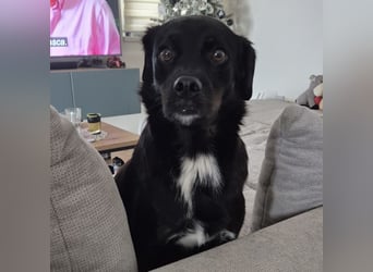 Botzi ein Engel mit gebrochenen Flügeln