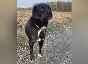 Botzi ein Engel mit gebrochenen Flügeln