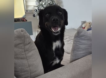 Botzi ein Engel mit gebrochenen Flügeln