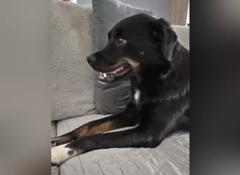 Botzi ein Engel mit gebrochenen Flügeln